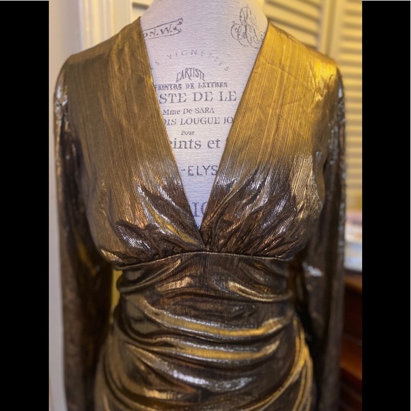 Gold Costume Dress - Picture 6 of 6